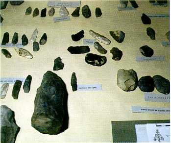 Une vitrine du muse de Martel
