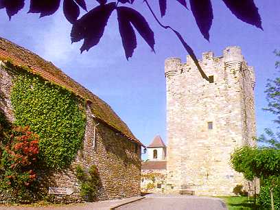 Le donjon de Capdenac-le-Haut