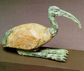 Ibis